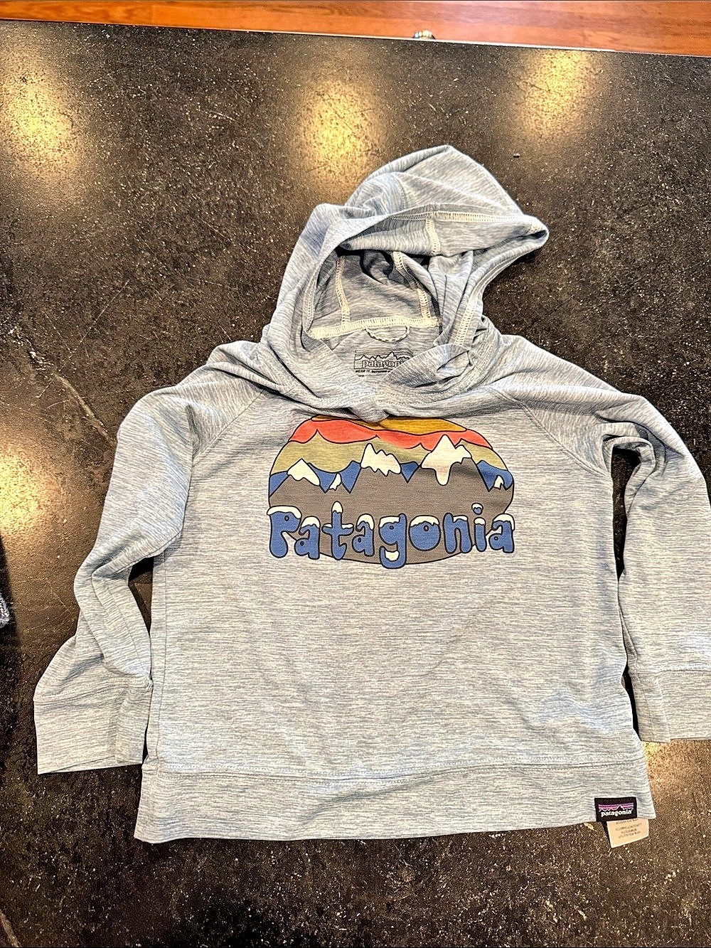 Patagonia Kids Graphic Hoodie in Blue Like New
